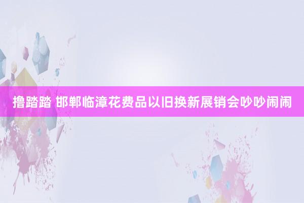 撸踏踏 邯郸临漳花费品以旧换新展销会吵吵闹闹