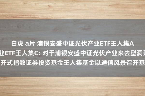 白虎 a片 浦银安盛中证光伏产业ETF王人集A,浦银安盛中证光伏产业ETF王人集C: 对于浦银安盛中证光伏产业来去型洞开式指数证券投资基金王人集基金以通信风景召开基金份额抓有东谈主大会的公告