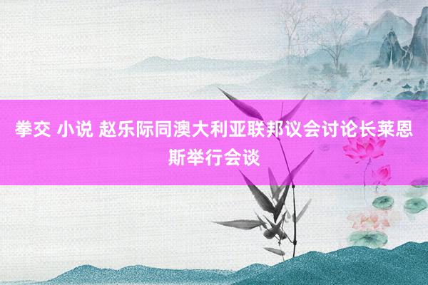 拳交 小说 赵乐际同澳大利亚联邦议会讨论长莱恩斯举行会谈