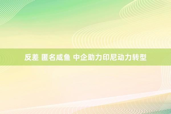 反差 匿名咸鱼 中企助力印尼动力转型