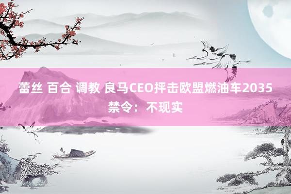 蕾丝 百合 调教 良马CEO抨击欧盟燃油车2035禁令：不现实