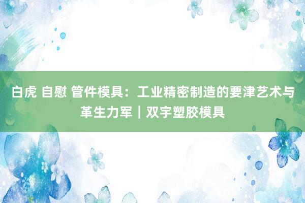 白虎 自慰 管件模具：工业精密制造的要津艺术与革生力军｜双宇塑胶模具