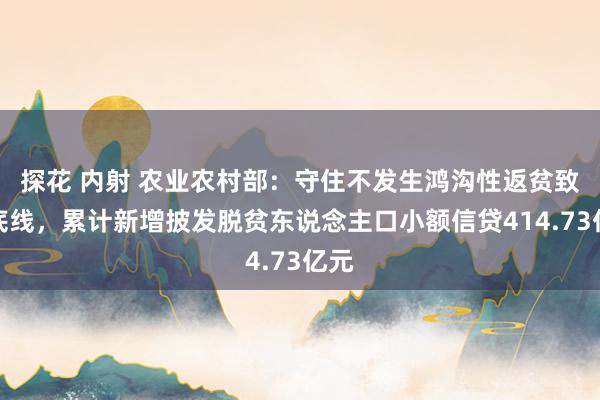 探花 内射 农业农村部：守住不发生鸿沟性返贫致贫底线，累计新增披发脱贫东说念主口小额信贷414.73亿元