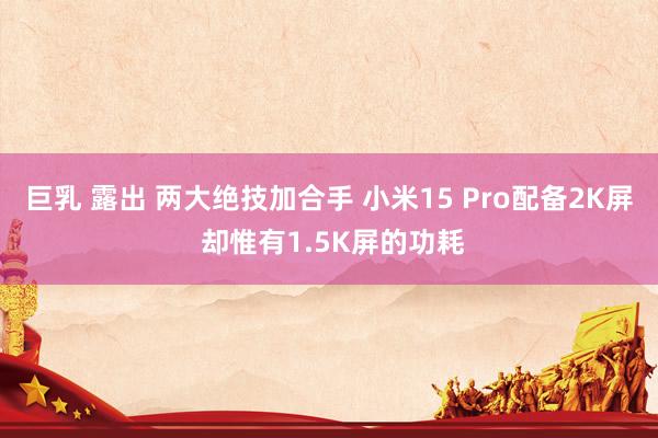 巨乳 露出 两大绝技加合手 小米15 Pro配备2K屏 却惟有1.5K屏的功耗