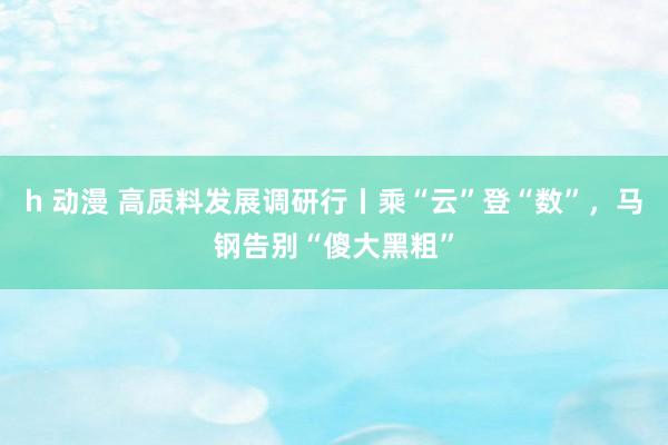 h 动漫 高质料发展调研行丨乘“云”登“数”，马钢告别“傻大黑粗”