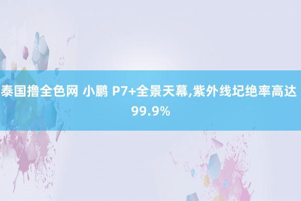 泰国撸全色网 小鹏 P7+全景天幕，紫外线圮绝率高达 99.9%