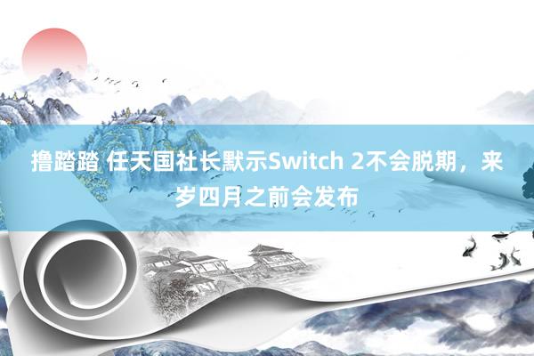 撸踏踏 任天国社长默示Switch 2不会脱期，来岁四月之前会发布