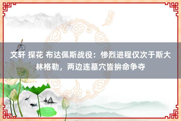 文轩 探花 布达佩斯战役：惨烈进程仅次于斯大林格勒，两边连墓穴皆拚命争夺