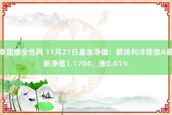 泰国撸全色网 11月27日基金净值：鹏扬利沣短债A最新净值1.1704，涨0.01%