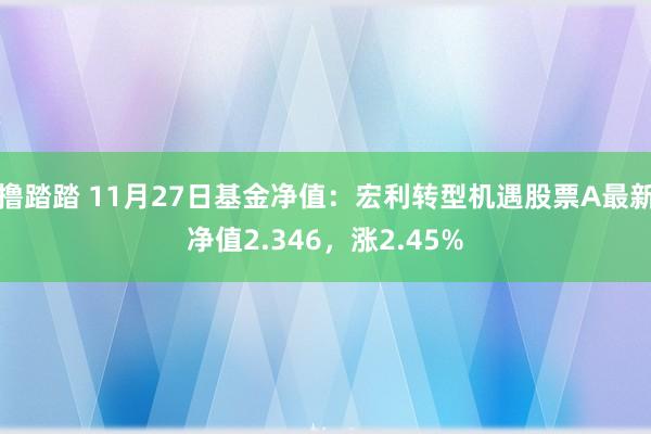 撸踏踏 11月27日基金净值：宏利转型机遇股票A最新净值2.346，涨2.45%