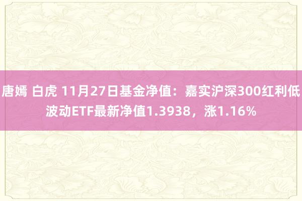 唐嫣 白虎 11月27日基金净值：嘉实沪深300红利低波动ETF最新净值1.3938，涨1.16%
