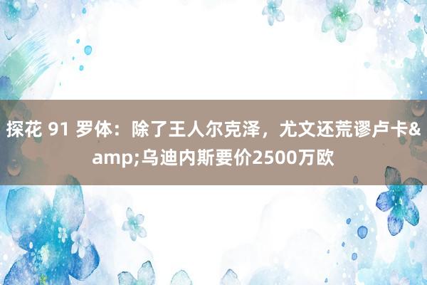 探花 91 罗体：除了王人尔克泽，尤文还荒谬卢卡&乌迪内斯要价2500万欧