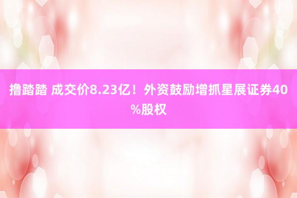 撸踏踏 成交价8.23亿！外资鼓励增抓星展证券40%股权