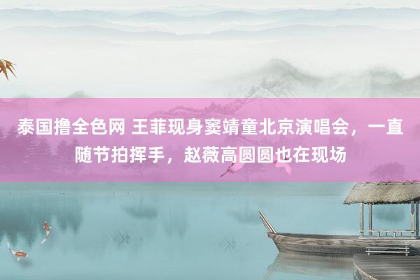 泰国撸全色网 王菲现身窦靖童北京演唱会，一直随节拍挥手，赵薇高圆圆也在现场