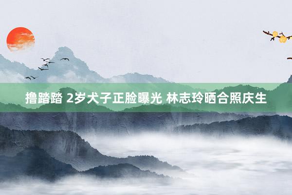 撸踏踏 2岁犬子正脸曝光 林志玲晒合照庆生