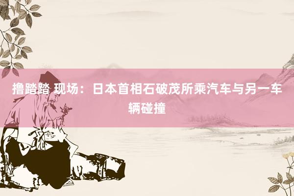撸踏踏 现场：日本首相石破茂所乘汽车与另一车辆碰撞