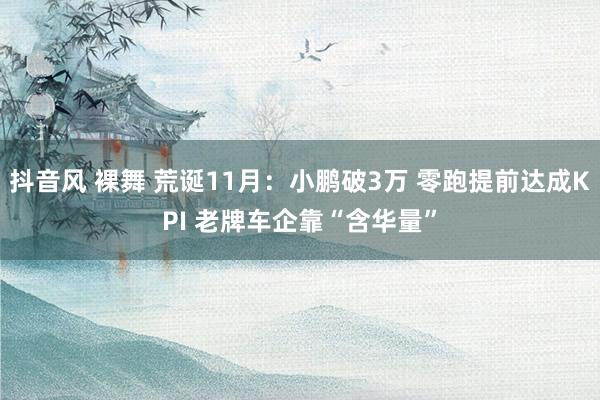 抖音风 裸舞 荒诞11月：小鹏破3万 零跑提前达成KPI 老牌车企靠“含华量”