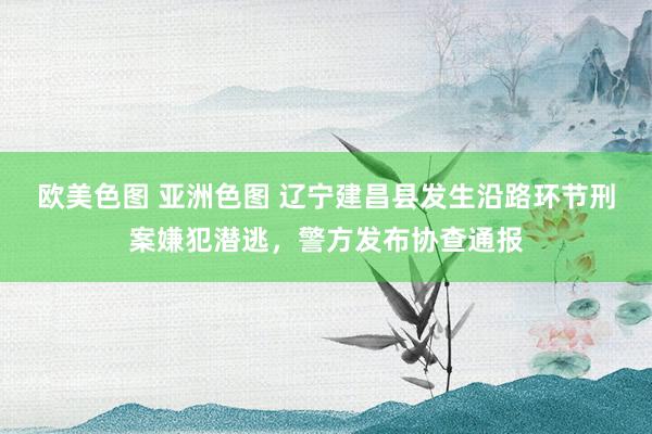 欧美色图 亚洲色图 辽宁建昌县发生沿路环节刑案嫌犯潜逃，警方发布协查通报