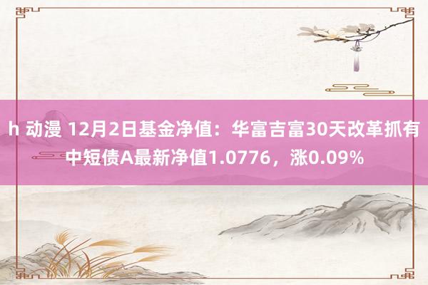 h 动漫 12月2日基金净值：华富吉富30天改革抓有中短债A最新净值1.0776，涨0.09%