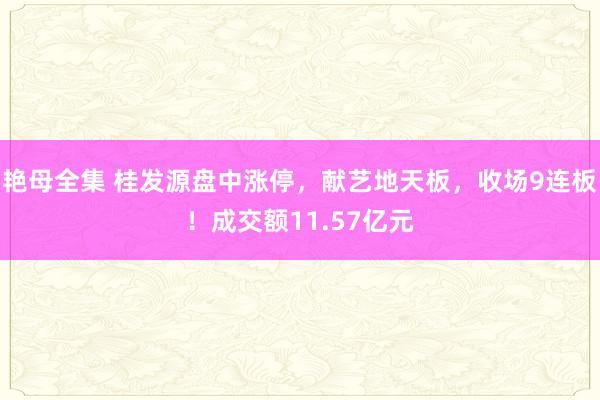 艳母全集 桂发源盘中涨停，献艺地天板，收场9连板！成交额11.57亿元