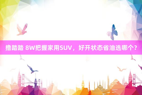 撸踏踏 8W把握家用SUV，好开状态省油选哪个？