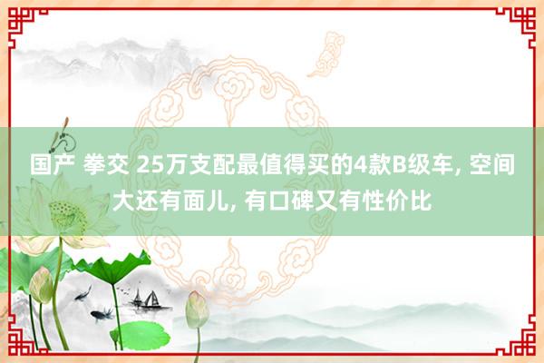 国产 拳交 25万支配最值得买的4款B级车， 空间大还有面儿， 有口碑又有性价比