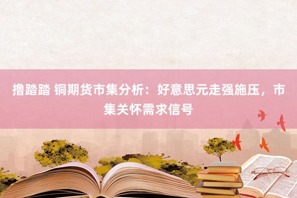 撸踏踏 铜期货市集分析：好意思元走强施压，市集关怀需求信号