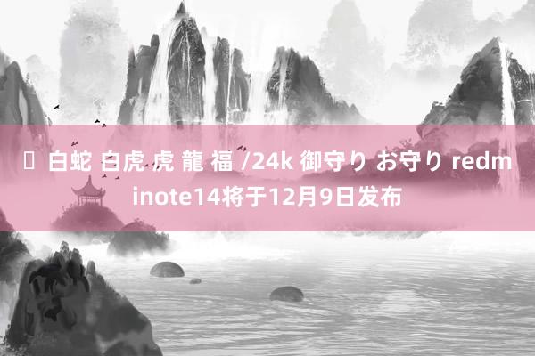 ✨白蛇 白虎 虎 龍 福 /24k 御守り お守り redminote14将于12月9日发布