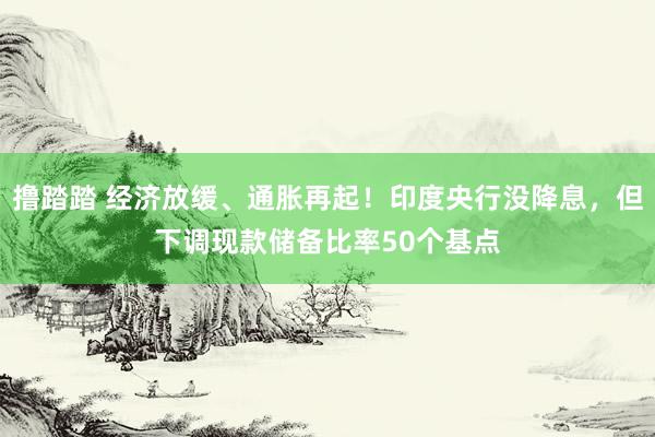 撸踏踏 经济放缓、通胀再起！印度央行没降息，但下调现款储备比率50个基点