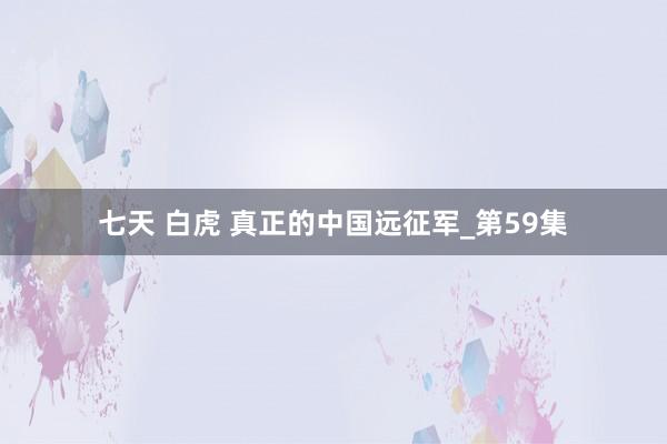 七天 白虎 真正的中国远征军_第59集