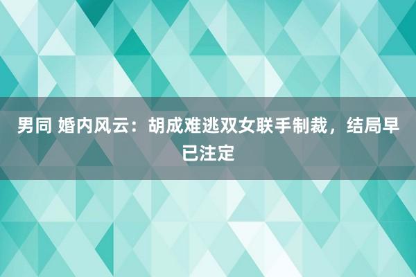 男同 婚内风云：胡成难逃双女联手制裁，结局早已注定