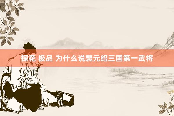 探花 极品 为什么说裴元绍三国第一武将