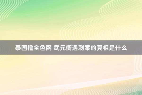 泰国撸全色网 武元衡遇刺案的真相是什么