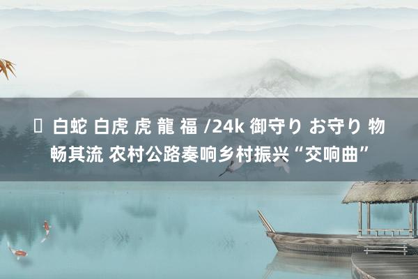 ✨白蛇 白虎 虎 龍 福 /24k 御守り お守り 物畅其流 农村公路奏响乡村振兴“交响曲”