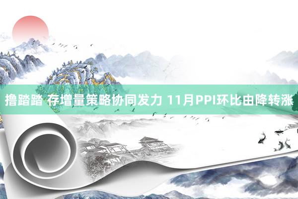 撸踏踏 存增量策略协同发力 11月PPI环比由降转涨