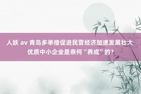 人妖 av 青岛多举措促进民营经济加速发展壮大 优质中小企业是奈何“养成”的？