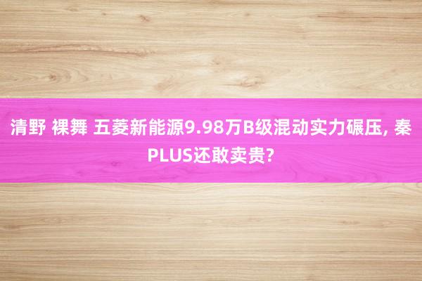 清野 裸舞 五菱新能源9.98万B级混动实力碾压， 秦PLUS还敢卖贵?