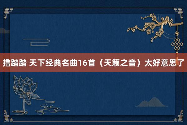撸踏踏 天下经典名曲16首（天籁之音）太好意思了