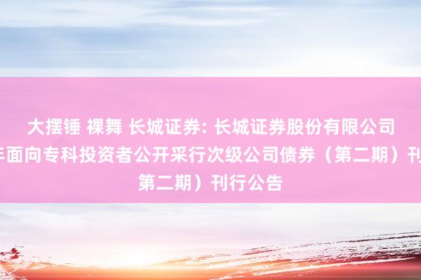 大摆锤 裸舞 长城证券: 长城证券股份有限公司2024年面向专科投资者公开采行次级公司债券(第二期)刊行公告