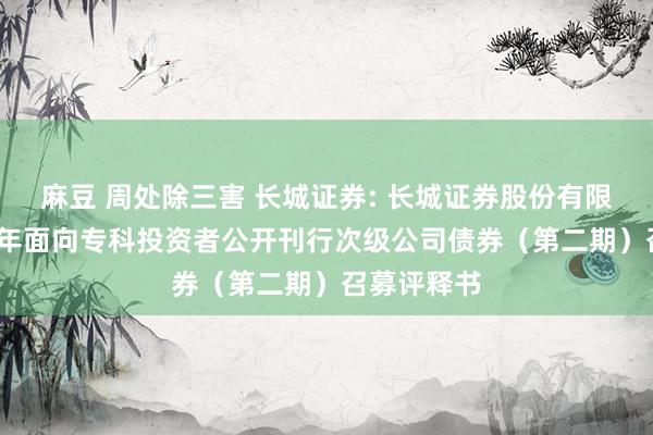 麻豆 周处除三害 长城证券: 长城证券股份有限公司2024年面向专科投资者公开刊行次级公司债券（第二期）召募评释书