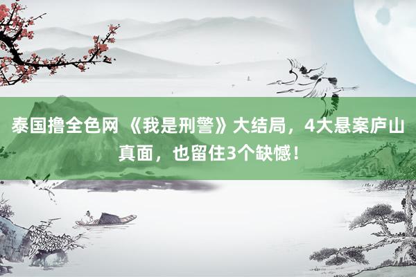 泰国撸全色网 《我是刑警》大结局，4大悬案庐山真面，也留住3个缺憾！