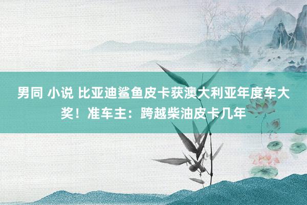 男同 小说 比亚迪鲨鱼皮卡获澳大利亚年度车大奖！准车主：跨越柴油皮卡几年