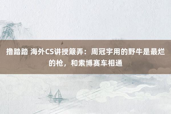 撸踏踏 海外CS讲授簸弄：周冠宇用的野牛是最烂的枪，和索博赛车相通