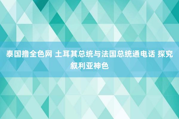 泰国撸全色网 土耳其总统与法国总统通电话 探究叙利亚神色