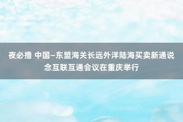 夜必撸 中国—东盟海关长远外洋陆海买卖新通说念互联互通会议在重庆举行