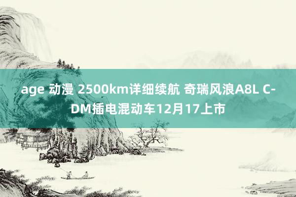 age 动漫 2500km详细续航 奇瑞风浪A8L C-DM插电混动车12月17上市