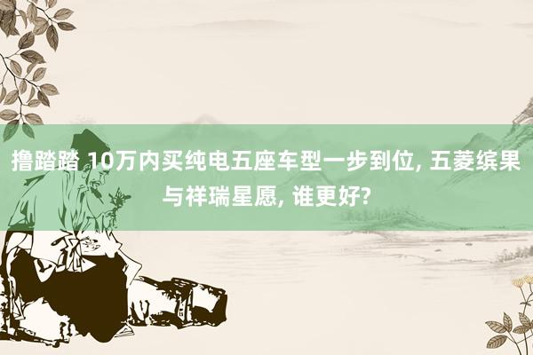 撸踏踏 10万内买纯电五座车型一步到位， 五菱缤果与祥瑞星愿， 谁更好?