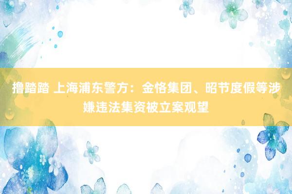 撸踏踏 上海浦东警方：金恪集团、昭节度假等涉嫌违法集资被立案观望