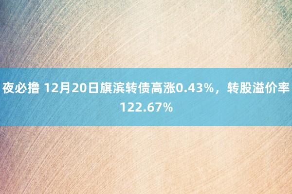 夜必撸 12月20日旗滨转债高涨0.43%，转股溢价率122.67%