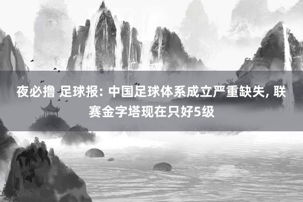 夜必撸 足球报: 中国足球体系成立严重缺失， 联赛金字塔现在只好5级